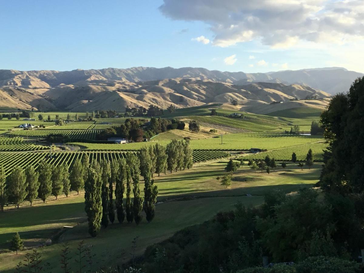 Infinityview B&B Blenheim Dış mekan fotoğraf