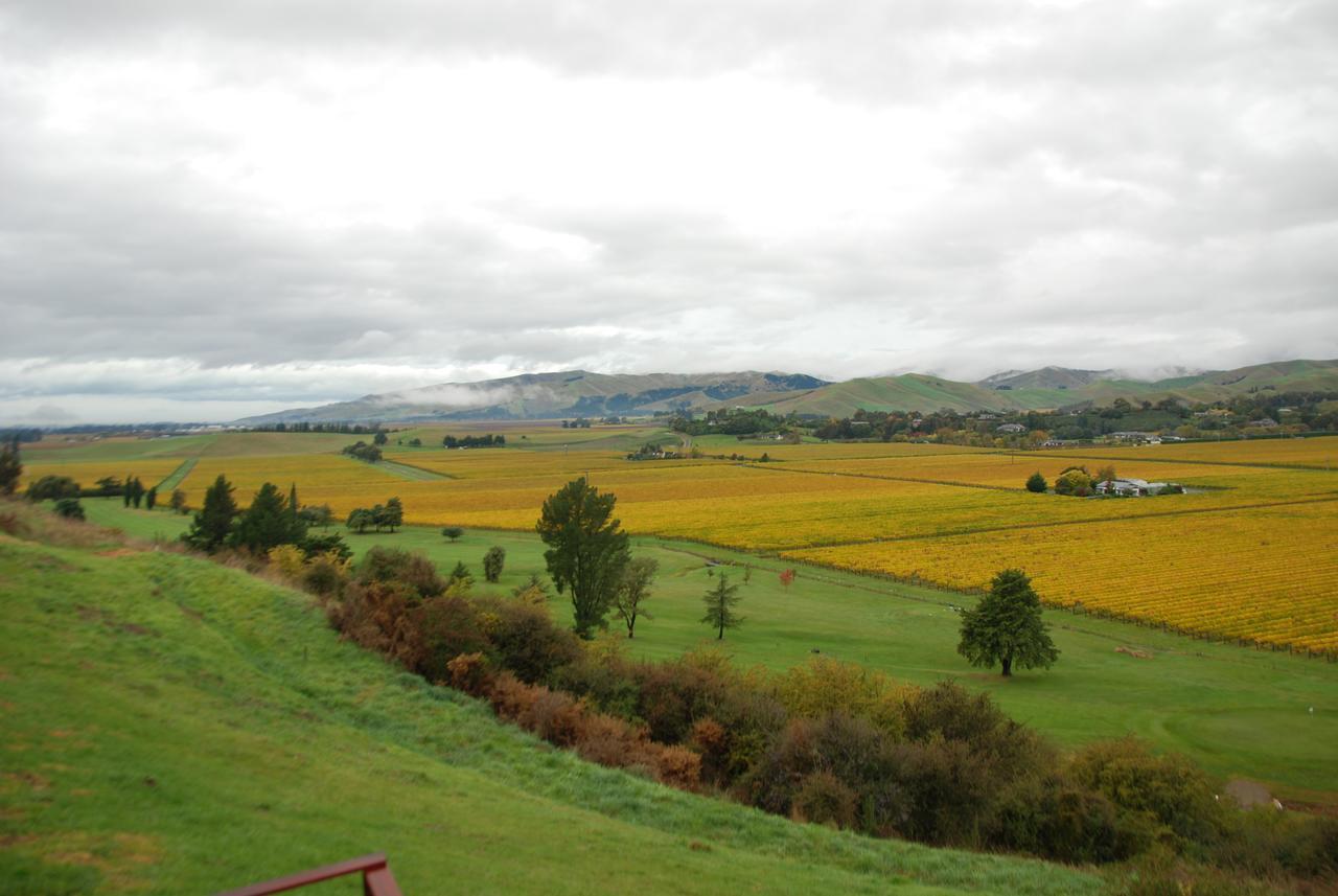Infinityview B&B Blenheim Dış mekan fotoğraf