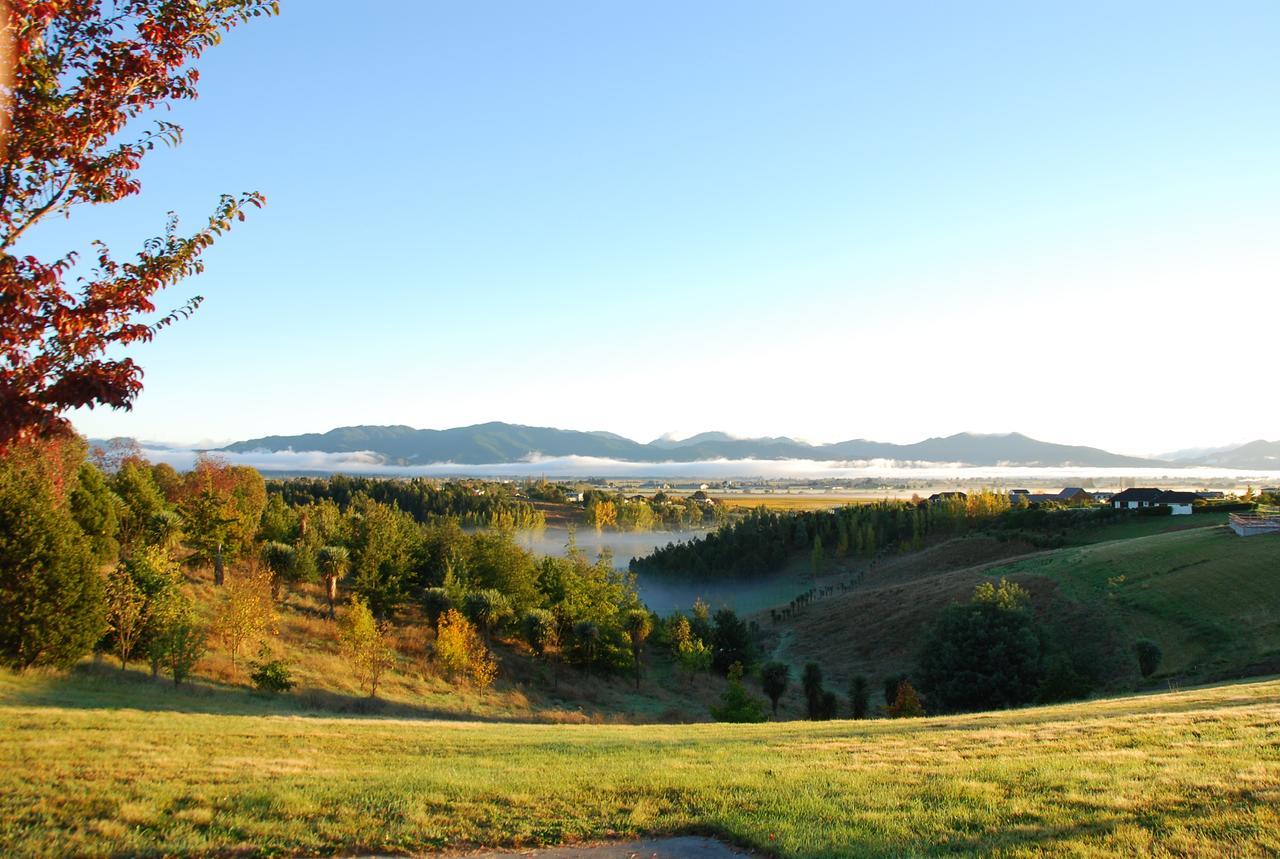 Infinityview B&B Blenheim Dış mekan fotoğraf