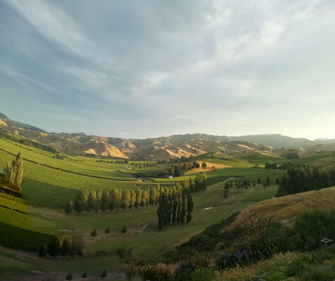 Infinityview B&B Blenheim Dış mekan fotoğraf