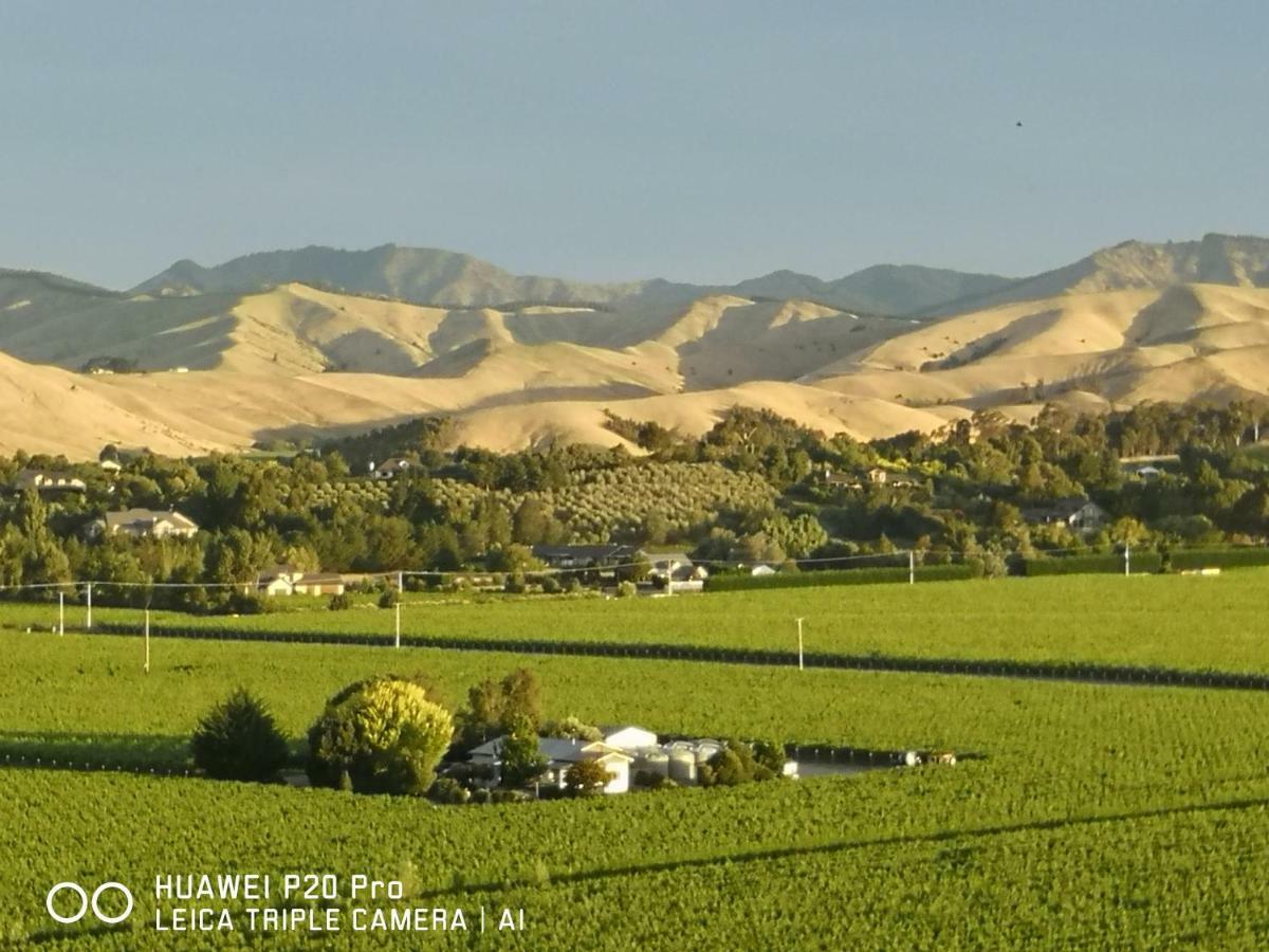 Infinityview B&B Blenheim Dış mekan fotoğraf